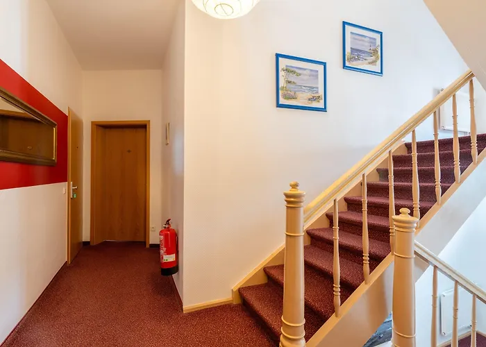 Wald Und Heringsdorf (Usedom)